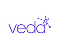 Veda Data Solutions Logo